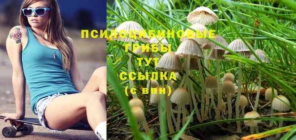 герыч Новокубанск