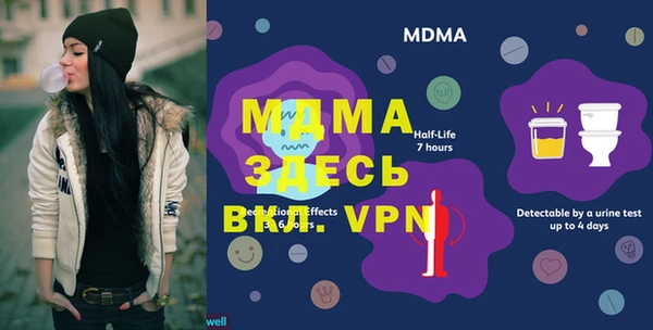 прущие грибы Новозыбков