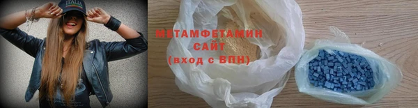 прущие грибы Новозыбков