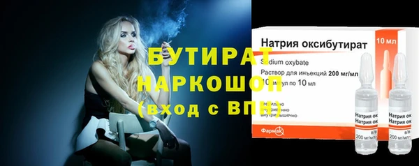 прущие грибы Новозыбков