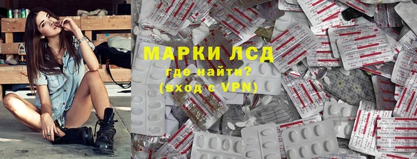 прущие грибы Новозыбков