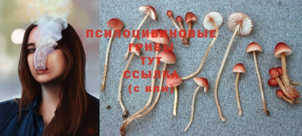 COCAINE Новодвинск