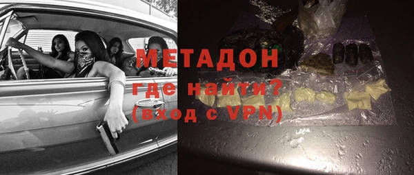 прущие грибы Новозыбков