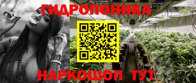 индика Берёзовский