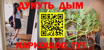 индика Берёзовский