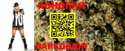 ПСИЛОЦИБИНОВЫЕ ГРИБЫ Бийск