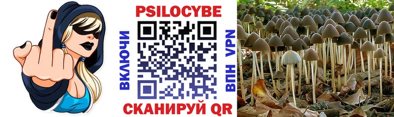 Псилоцибиновые грибы Psilocybine cubensis  наркота  Тольятти 