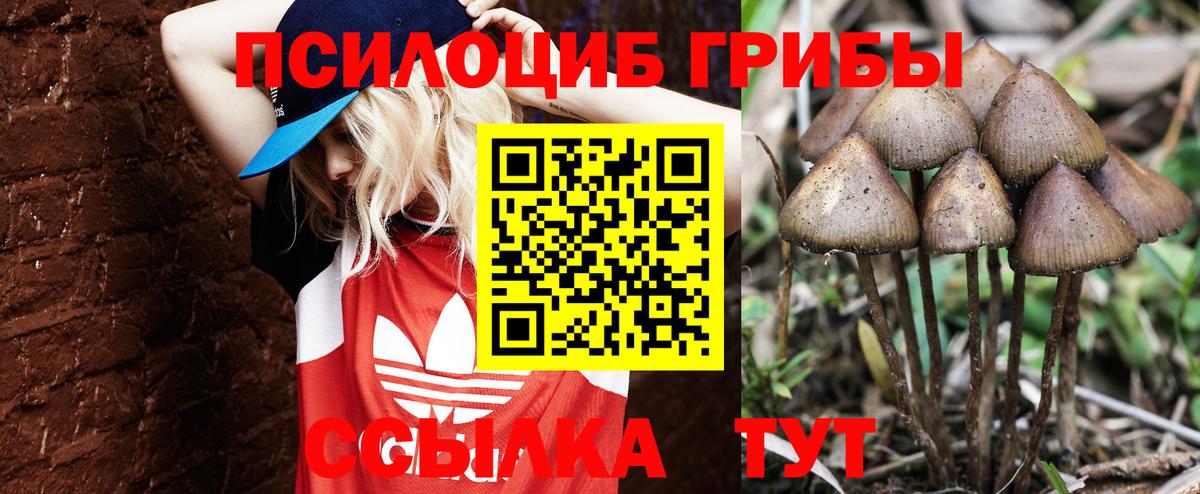 Псилоцибиновые грибы мухоморы Тольятти